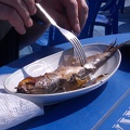 Omul-Ein typischer Fisch aus dem Baikalsee